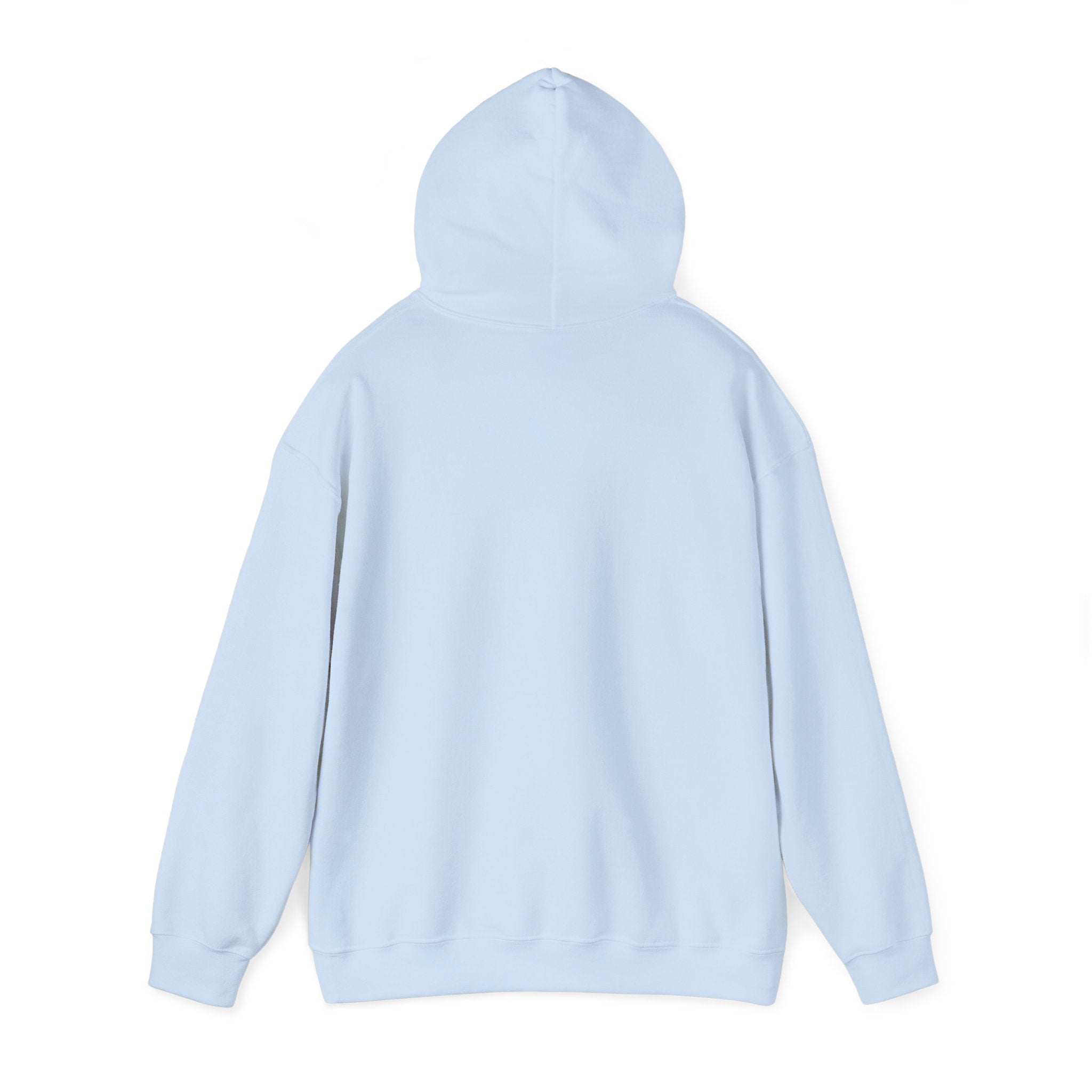 Copy of Unisex Heavy Blend™ Hooded Sweatshirt