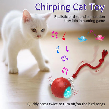 Bird Chirping Interactive Cats Pets Toys